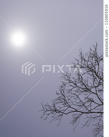 The slightly cloudy sun of midwinter 110805916