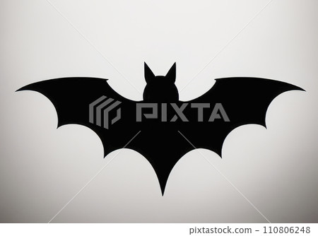 black and white drawing with bat. vector illustration 110806248