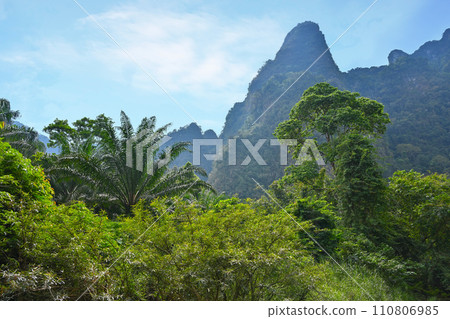 Beautiful scenery of Thai nature in Khao Lak province Beautiful scenery of Thai nature in Khao Lak province 110806985