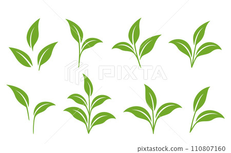 set of green branches with leaves, plant sprout, plants twigs and sprig 110807160