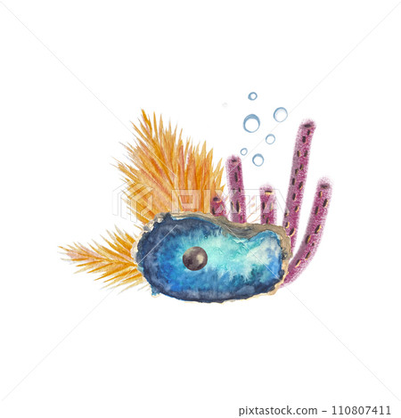 Watercolor composition shells seaweed isolated white 110807411