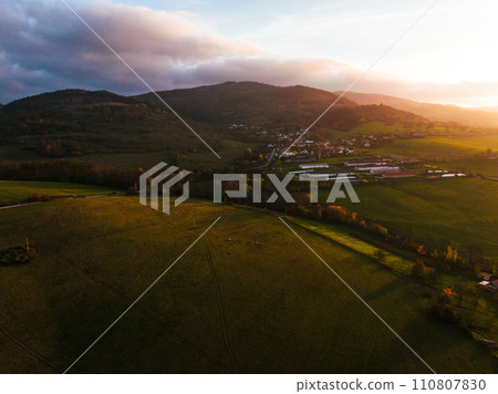 Aerial view of small village, farm in the middle of green summer farm fields, crops or pasture with road. 110807830