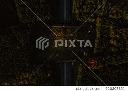 Aerial view of highway in the middle of forest, nature. Road tunnel with wildlife crossing above highway. Aerial view of highway in the middle of forest, nature. Road tunnel with wildlife crossing above highway. 110807831