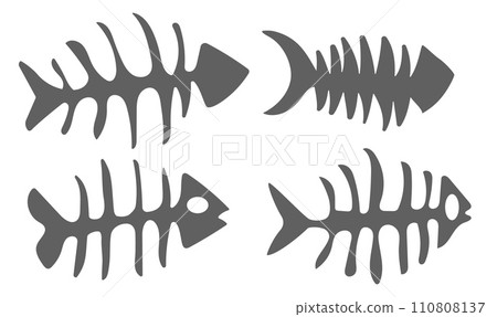 Set fishbone icon. Fish bone or fishbone skeleton flat vector icon for wildlife 110808137