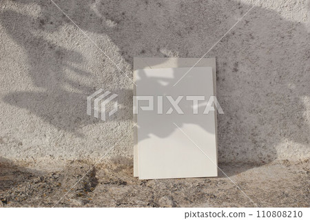 Blank greeting card invitation mockup in sunlight, floral foliage shadows overlay. White shabby old textured wall background, concrete ground. Elegant minimal summer wedding, birthday stationery. 110808210