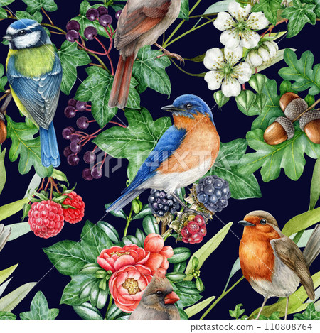 Garden birds and natural floral elements seamless pattern. Watercolor painted illustration. Hand drawn garden birds, flowers, berries, green leaves seamless pattern. Dark background 110808764