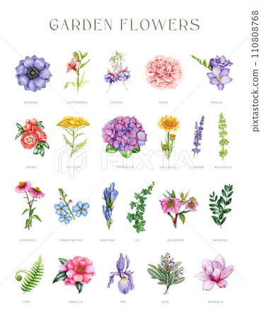 Garden flowers vintage style set. Watercolor illustration painted collection. Hand drawn different painted garden flowers, herbs and greens. Various floral vintage style element set. White background Garden flowers vintage style set. Watercolor illustration painted collection. Hand drawn different painted garden flowers, herbs and greens. Various floral vintage style element set. White background 110808768