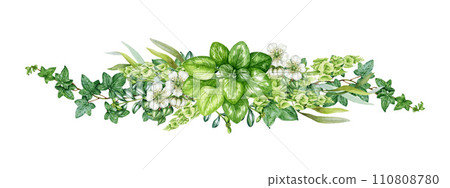 Green leaf floral lush decor. Watercolor vintage style painted illustration. Hand drawn floral botanical decoration element. Green leaves, garden flowers natural decor element. White background 110808780