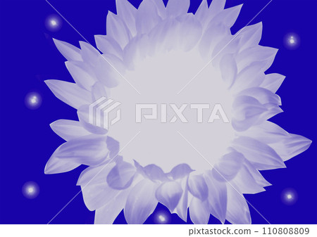 background with yellow flowers background with yellow flowers 110808809