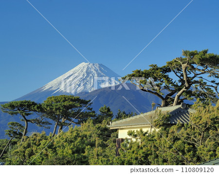 Shizuoka Prefecture, Fuji over Senbon Matsubara, January 110809120