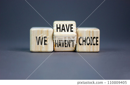 We have or not choice symbol. Concept word We have or have not choice on beautiful wooden cubes. Beautiful grey table grey background. Business and we have or not choice concept. Copy space. We have or not choice symbol. Concept word We have or have not choice on beautiful wooden cubes. Beautiful grey table grey background. Business and we have or not choice concept. Copy space. 110809405
