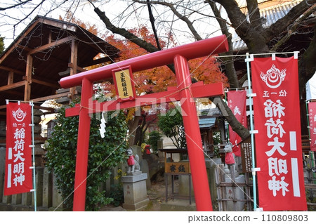 Winter Tamatori Inari Shrine Nagano 110809803