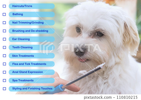 Check list of services offered by the salon for dogs concept. Check list of services offered by the salon for dogs concept. 110810215