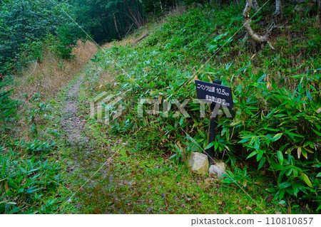 從森林公路到尼佩索圖山山路的分支標誌 從森林公路到尼佩索圖山山路的分支標誌 110810857