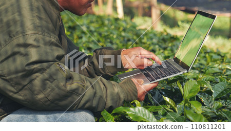 Smart farmer using laptop in eco green farm sustainable quality control. Close up Hand typing laptop computer quality control plant tree. Farmer hands using technology in eco Farmland biotechnology 110811201