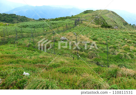 仲夏時節的伊吹山（滋賀縣），山頂的花園因鹿的破壞而消失 110811531