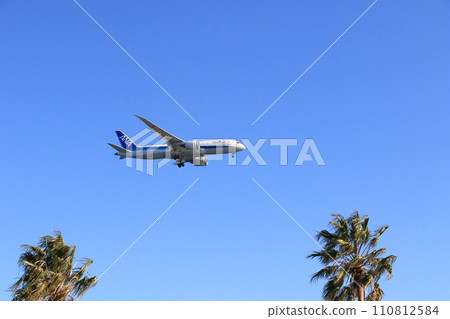 Passenger plane approaching landing Passenger plane approaching landing 110812584