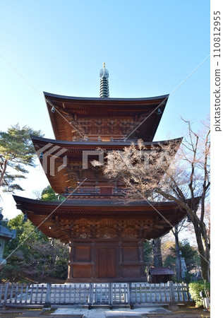 Winter scenery of Gotokuji Temple, Tokyo 110812955