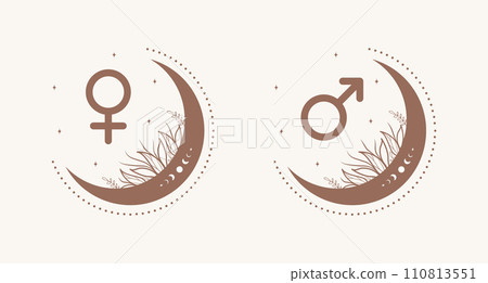 Female and male symbols in boho style. Gender icons with stars and moon. Vector illustration isolated on beige background Female and male symbols in boho style. Gender icons with stars and moon. Vector illustration isolated on beige background 110813551