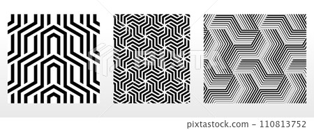 Geometric set of seamless black and white patterns. Simple vector graphics 110813752