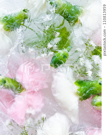 carnation, garden flowers frozen in ice. backgraund carnation, garden flowers frozen in ice. backgraund 110813959