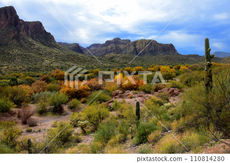 Salt River Recreation Area Arizona 110814280