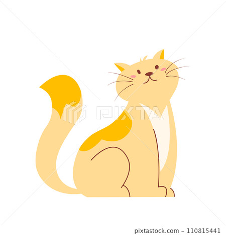 Cute fluffy cat. Funny kitten. Pet animal isolated on white background. 110815441