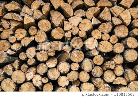 Photography on theme big wall of stacked oak tree logs in cracks Photography on theme big wall of stacked oak tree logs in cracks 110815502