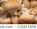 mushroom [mushroom] 110815898