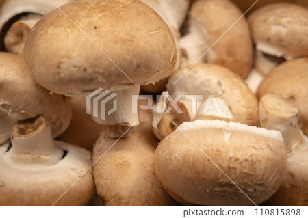 mushroom [mushroom] 110815898