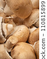 mushroom [mushroom] 110815899