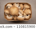 mushroom [mushroom] 110815900