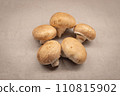 mushroom [mushroom] 110815902