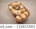mushroom [mushroom] 110815903