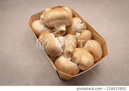 mushroom [mushroom] 110815903