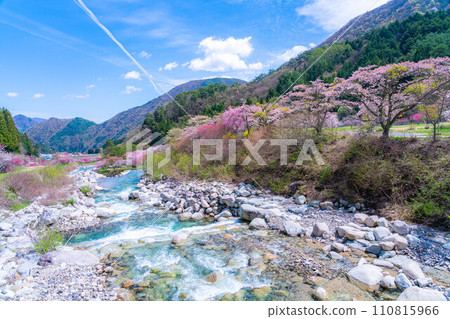 [Togenkyo] Hanamomo no Sato in Achi Village [Nagano Prefecture] 110815966