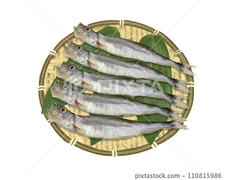 Shishamo (5 fish) monkey with bamboo leaves 110815986