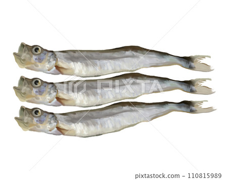 Shishamo (3 fish) Shishamo (3 fish) 110815989