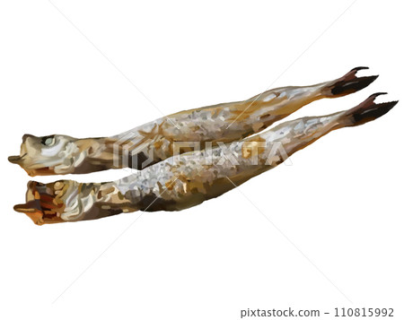 Grilled Shishamo (2 pieces) Grilled Shishamo (2 pieces) 110815992