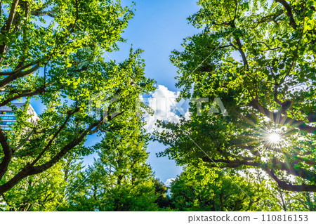日本東京城市景觀：神宮外苑的銀杏樹。因神宮外苑重建而震驚... = 2020 年 8 月 10 日 110816153
