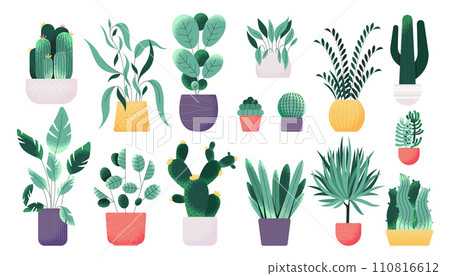 Home plants decoration. Colorful tropical plants for room decoration, exotic foliage in colorful pots for home and office greenery. Vector isolated collection Home plants decoration. Colorful tropical plants for room decoration, exotic foliage in colorful pots for home and office greenery. Vector isolated collection 110816612