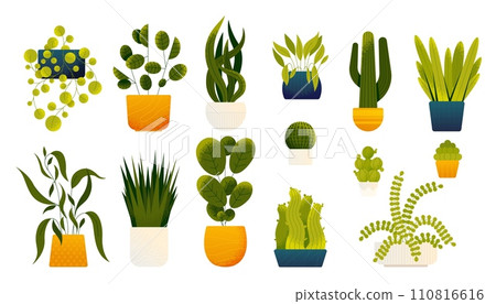 Houseplants in pots. Cartoon decorative plants in vases, monstera leaf and cacti, alocasia and philodendron in vase. Vector flat set 110816616