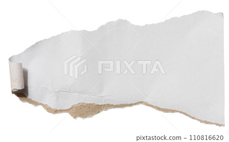 Torn piece of white cardboard with torn edges on an isolated background 110816620