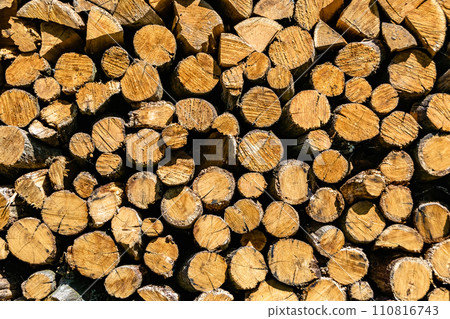 Photography on theme big wall of stacked oak tree logs in cracks Photography on theme big wall of stacked oak tree logs in cracks 110816743