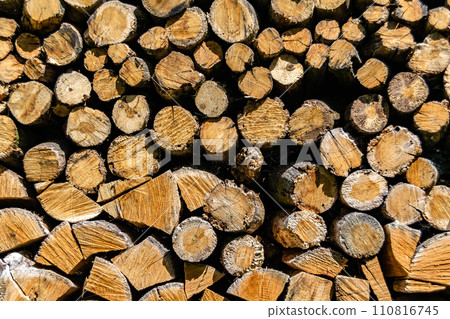 Photography on theme big wall of stacked oak tree logs in cracks Photography on theme big wall of stacked oak tree logs in cracks 110816745