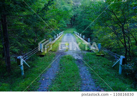 通往 Petegari 山別墅的森林公路橋。 通往 Petegari 山別墅的森林公路橋。 110816830