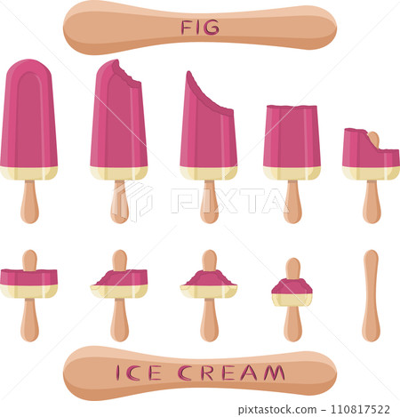 Big set various sweet tasty natural ice cream 110817522