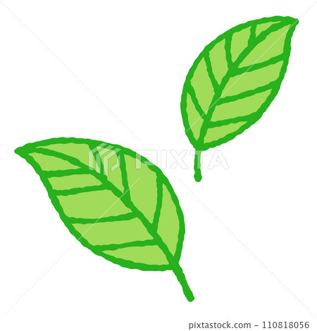 簡單的葉子圖 110818056