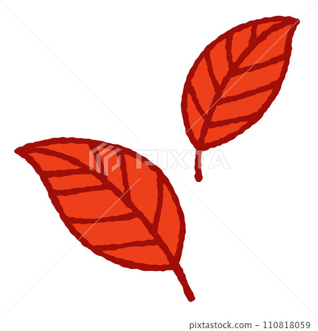Simple autumn leaf illustration 110818059