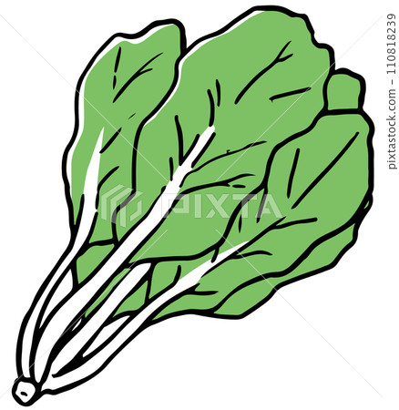 Spinach single color Spinach single color 110818239